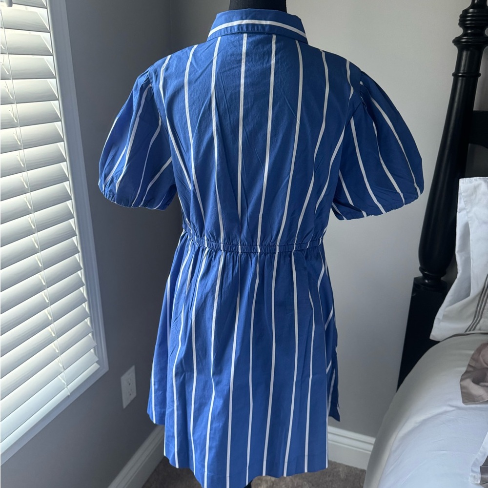 Blue Striped Dress - Picture 2 of 4